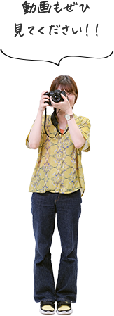 動画もぜひ見てください！！